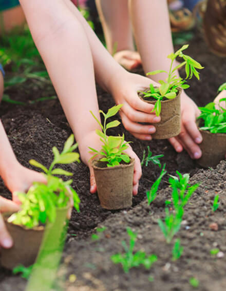 Giới thiệu - The best of Hạ Long