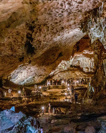 Capella Cruise - The best of Hạ Long