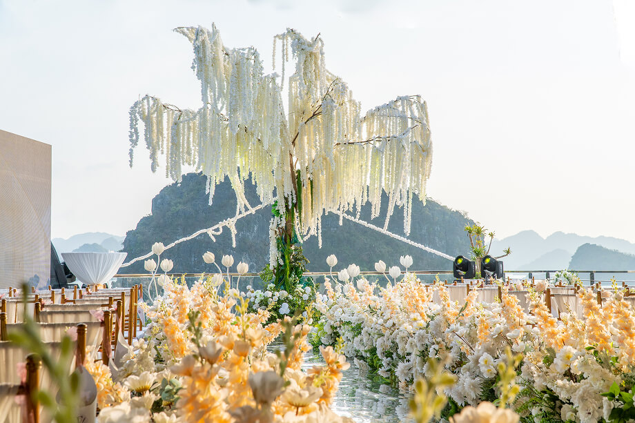 Grand Pioneers Cruise I - The best of Hạ Long